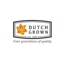 DutchGrown (UK) discount code