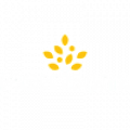 morrisons-voucher