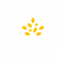 Morrisons discount code